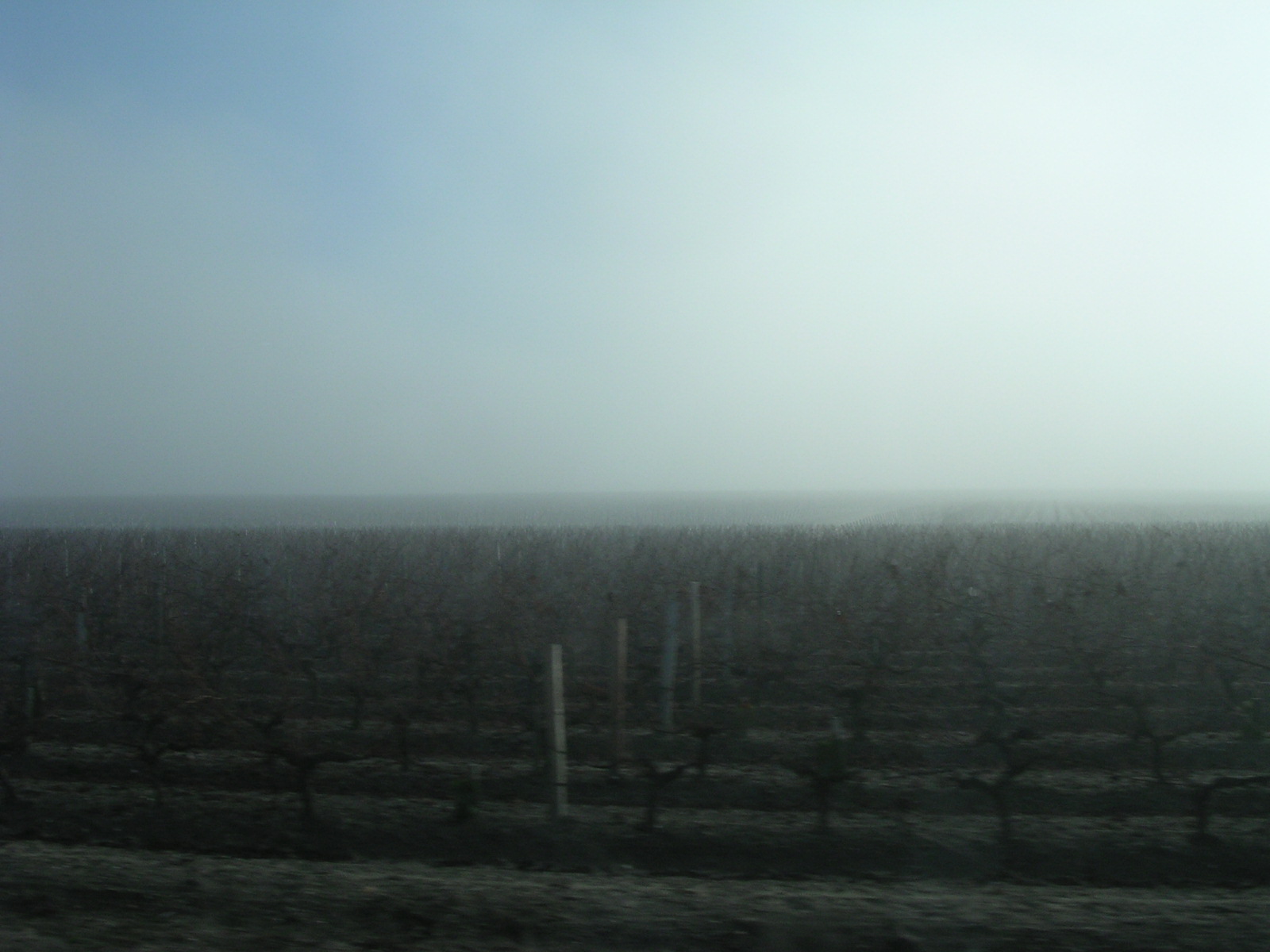 dscn0788.jpg