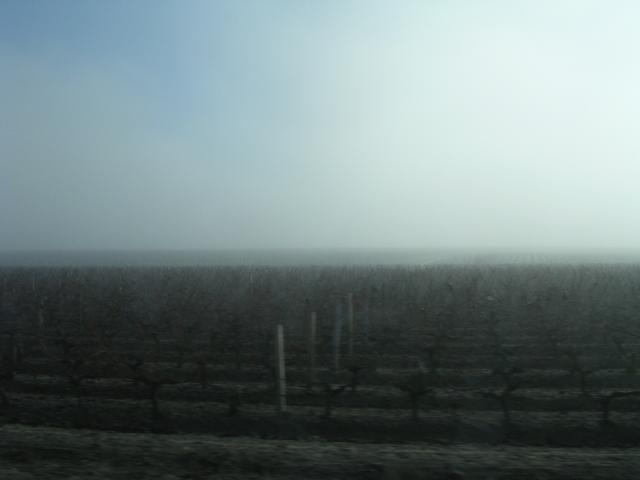 dscn0788.jpg