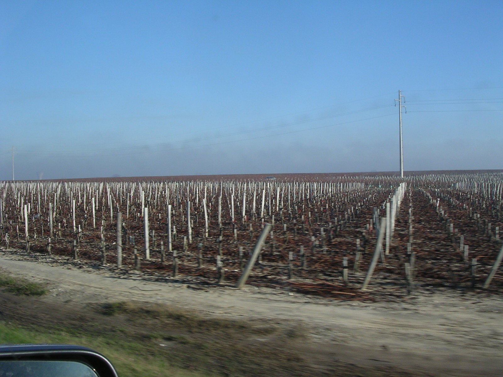 dscn0789.jpg