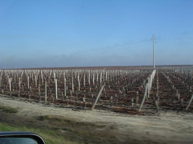 dscn0789.jpg