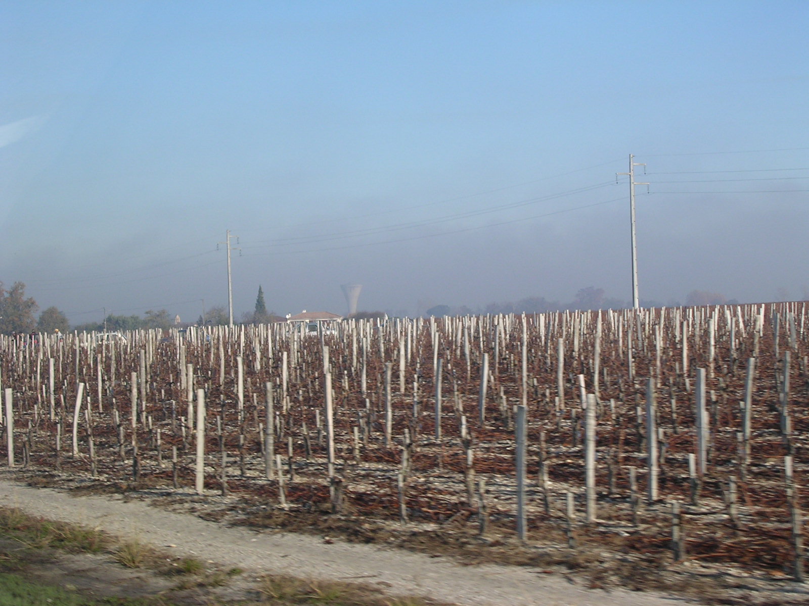 dscn0790.jpg