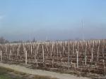 dscn0790.jpg