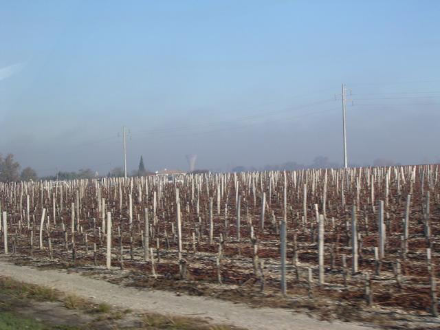 dscn0790.jpg