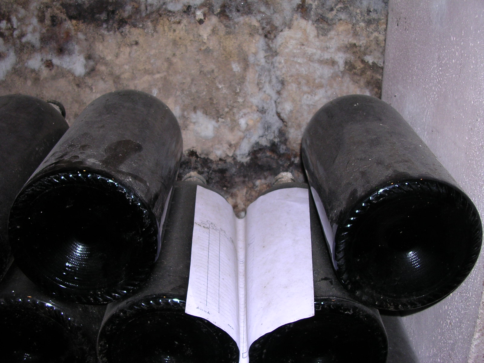 dscn0791.jpg