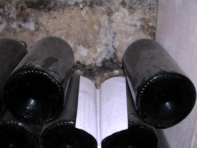 dscn0791.jpg