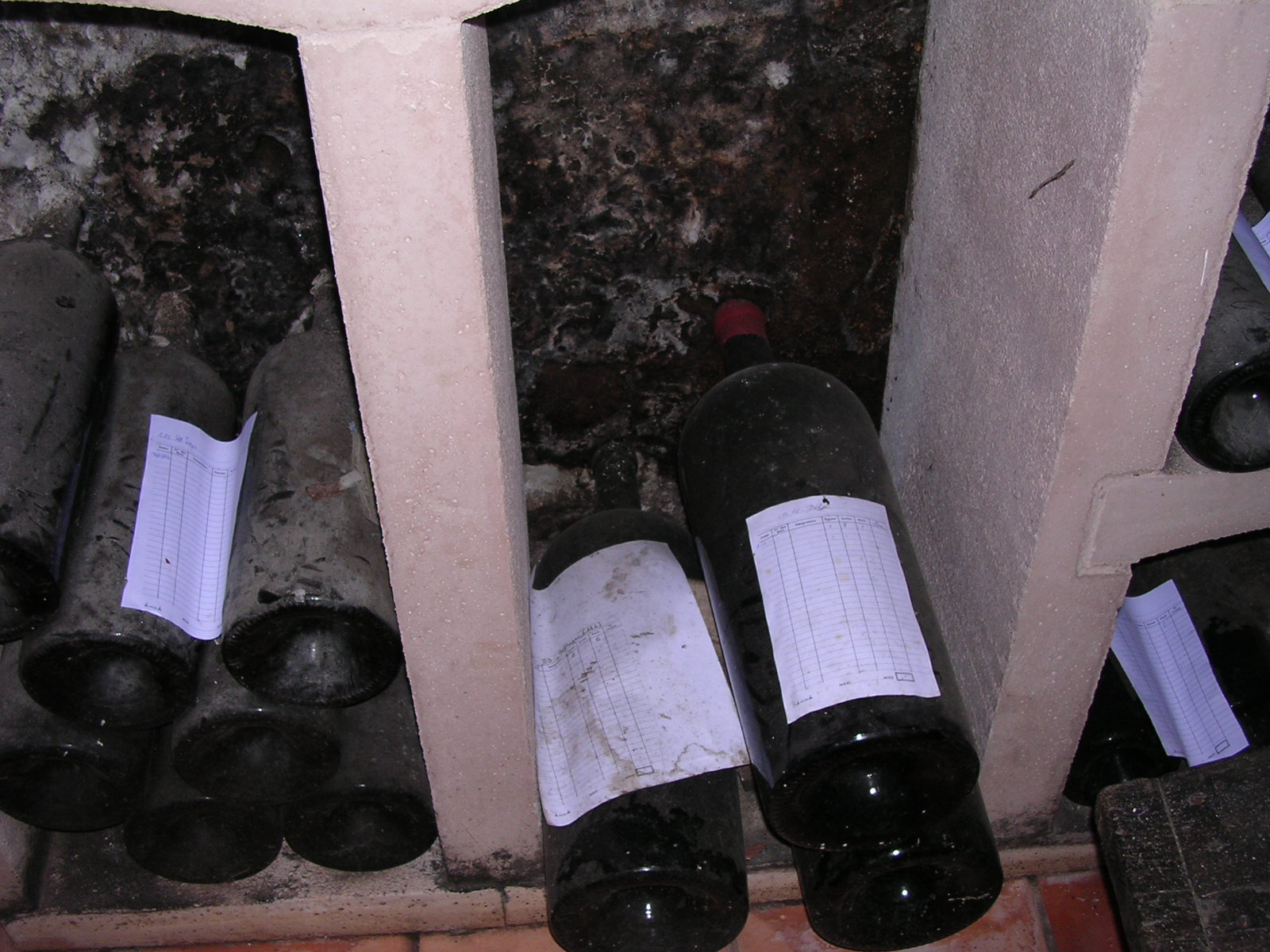 dscn0793.jpg