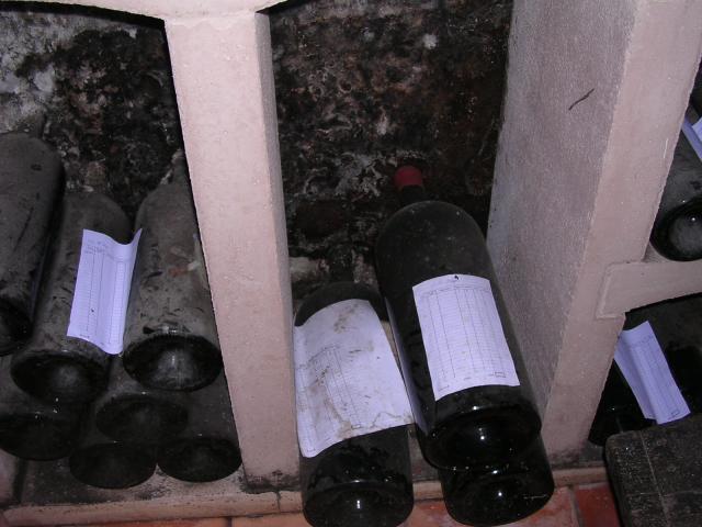 dscn0793.jpg
