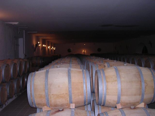dscn0795.jpg