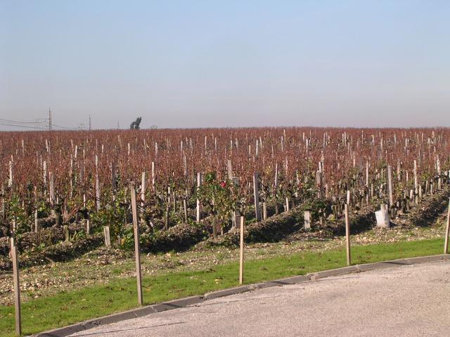 dscn0802.jpg