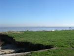 dscn0803.jpg