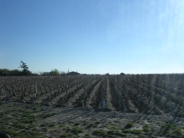 dscn0805.jpg