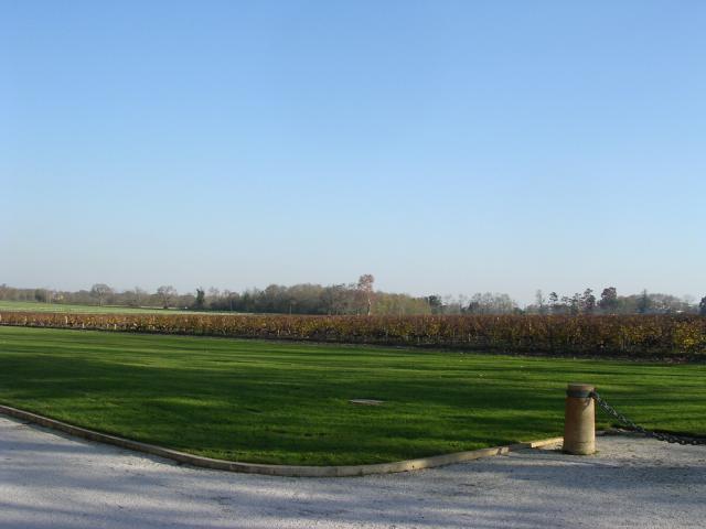 dscn0810.jpg
