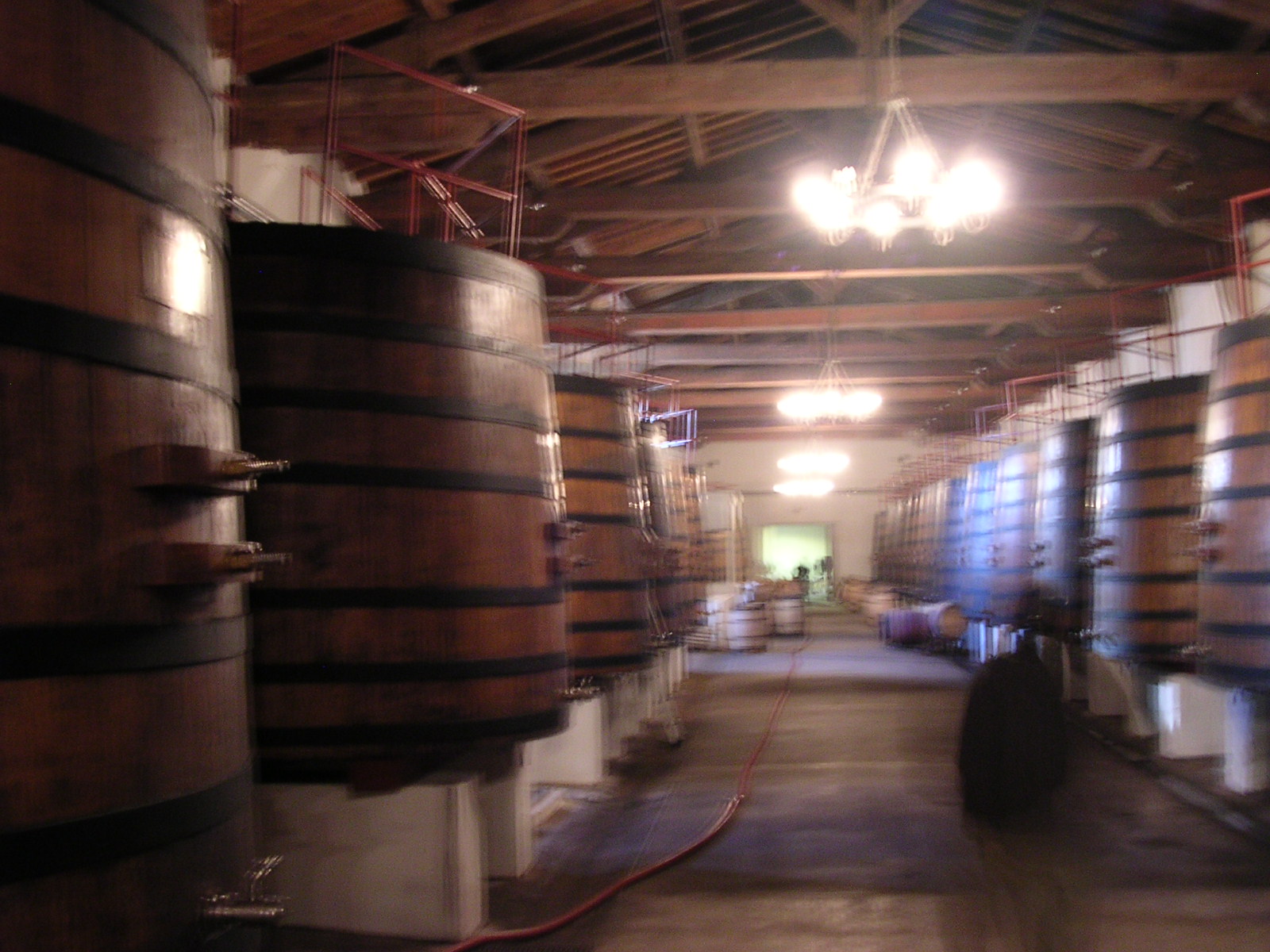 dscn0819.jpg