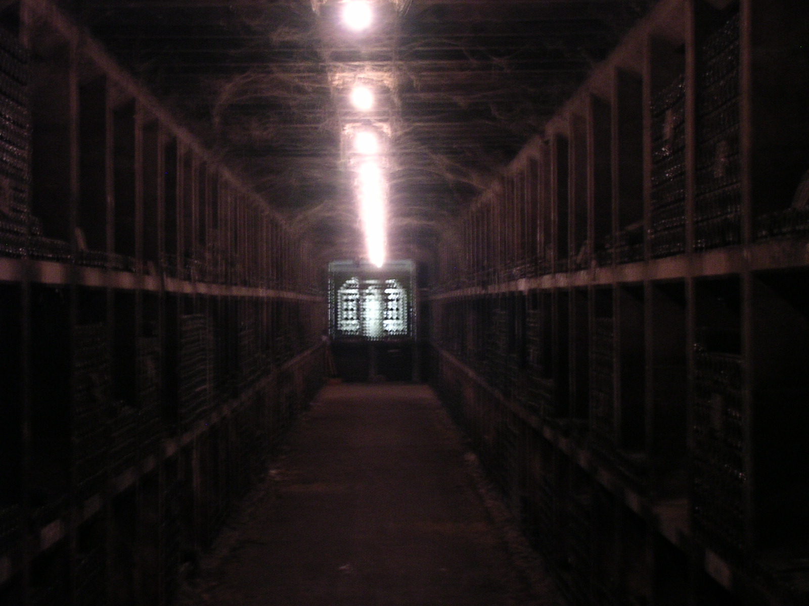 dscn0825.jpg