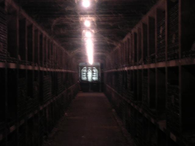 dscn0825.jpg