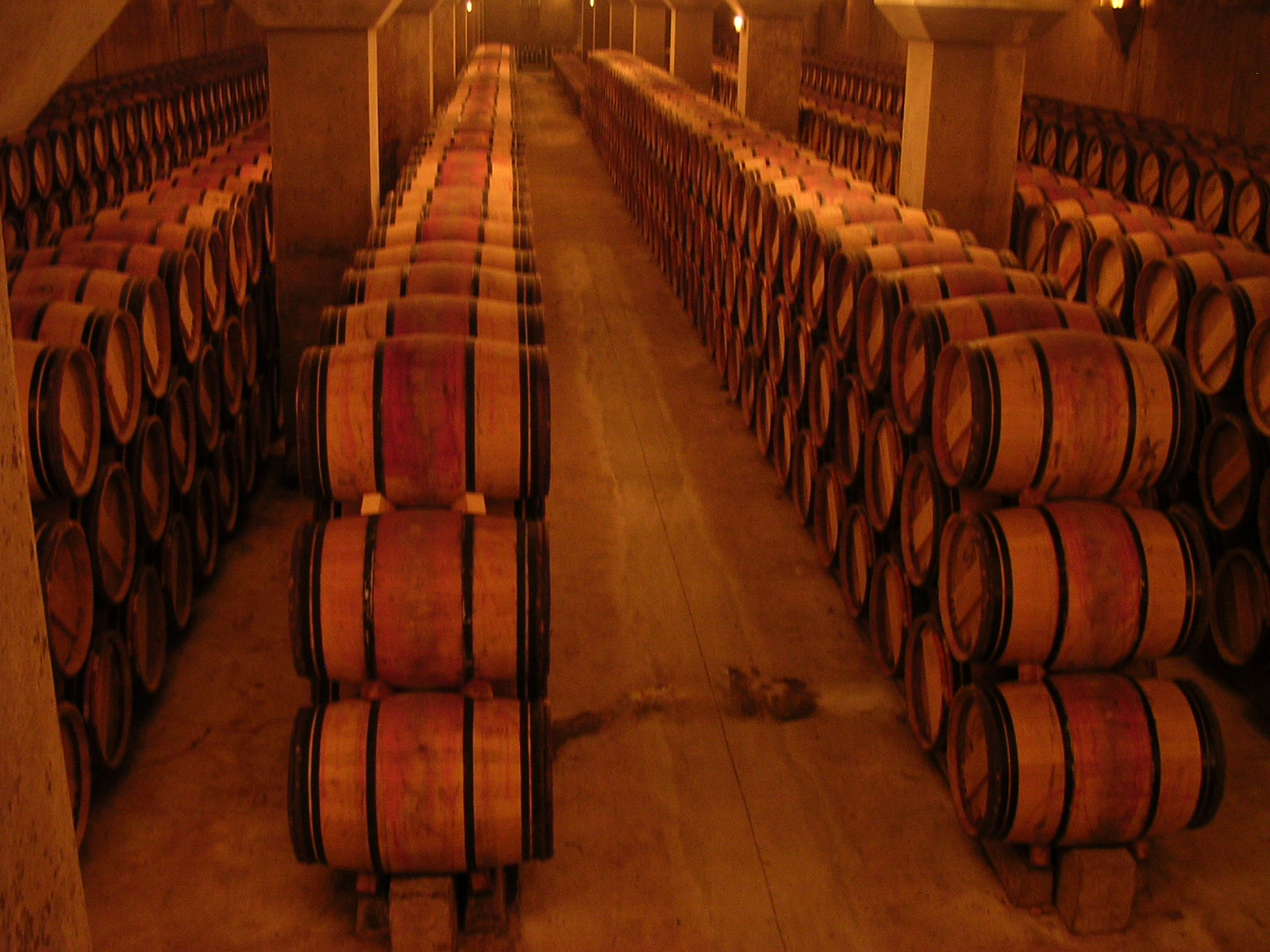 dscn0830.jpg