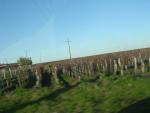 dscn0836.jpg