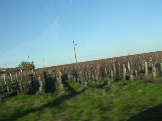 dscn0836.jpg