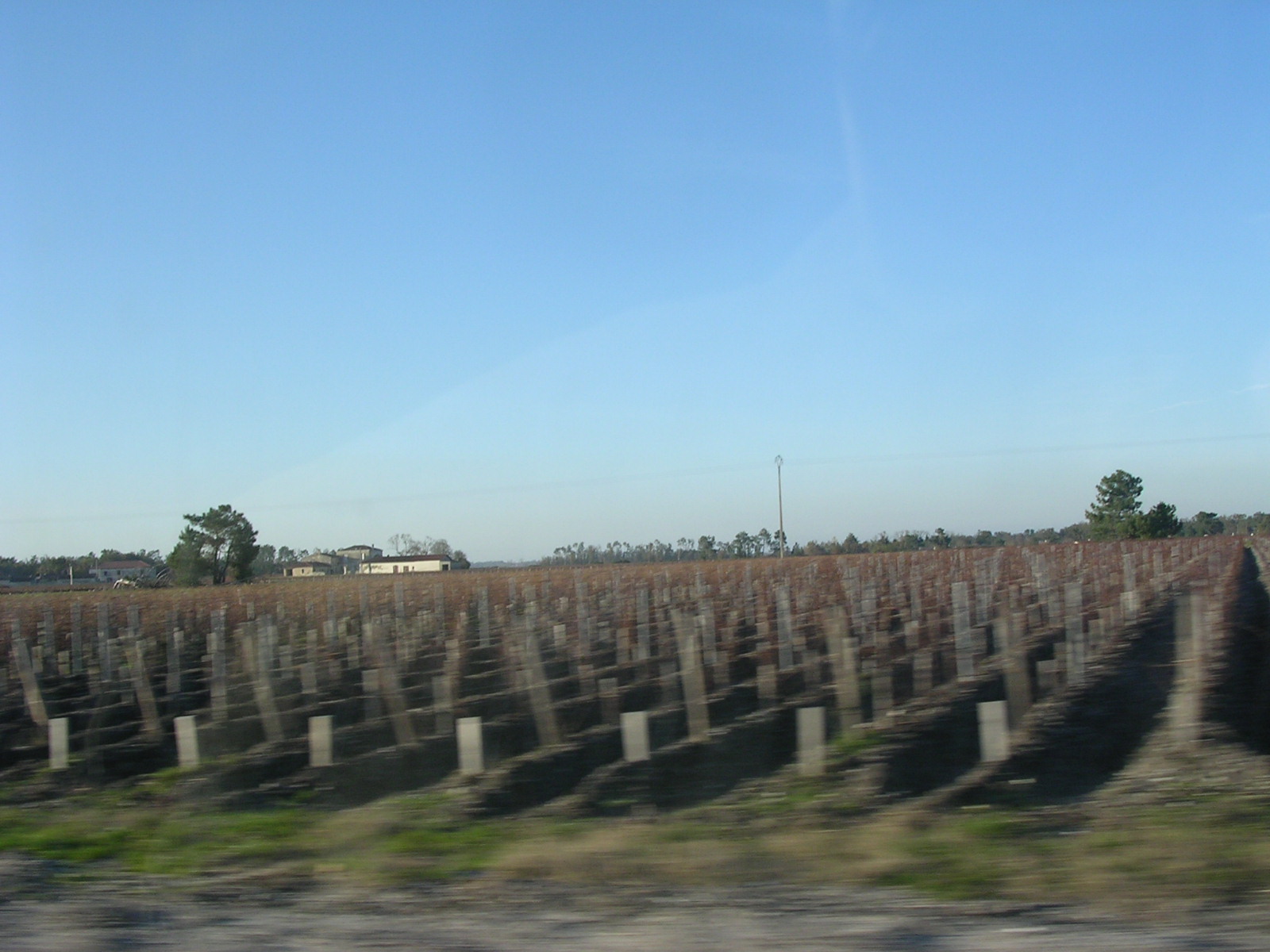 dscn0838.jpg