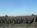 dscn0838.jpg