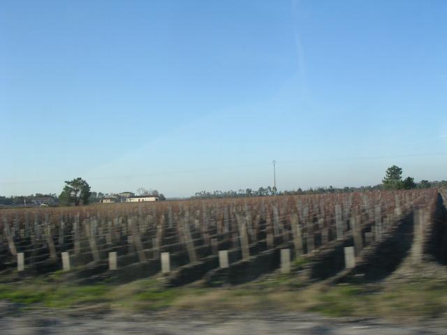 dscn0838.jpg
