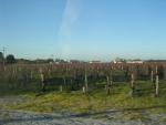 dscn0840.jpg