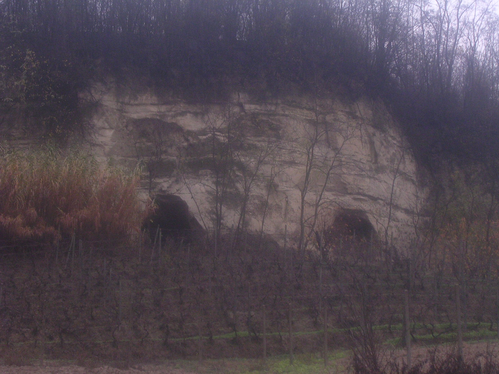 dscn1950.jpg