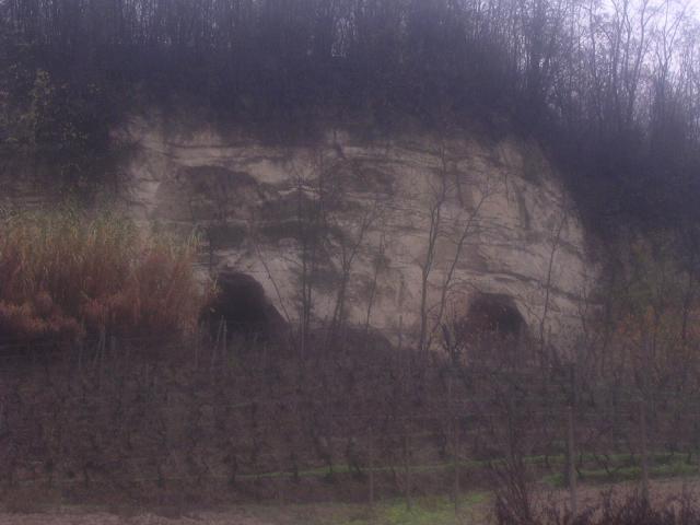 dscn1950.jpg