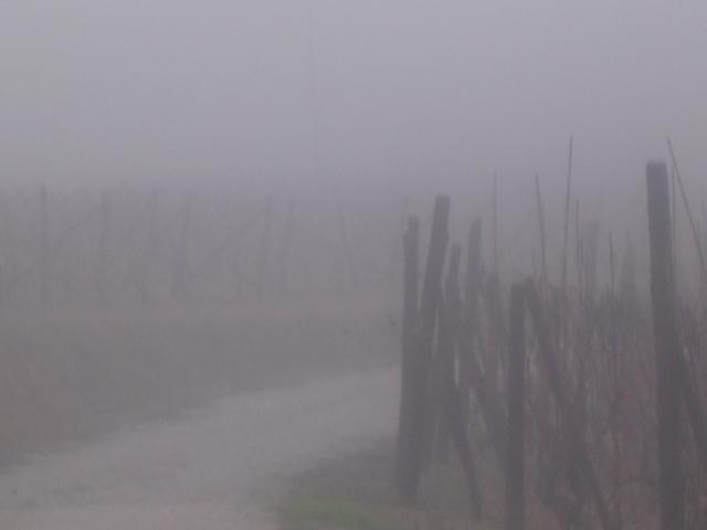 dscn1953.jpg