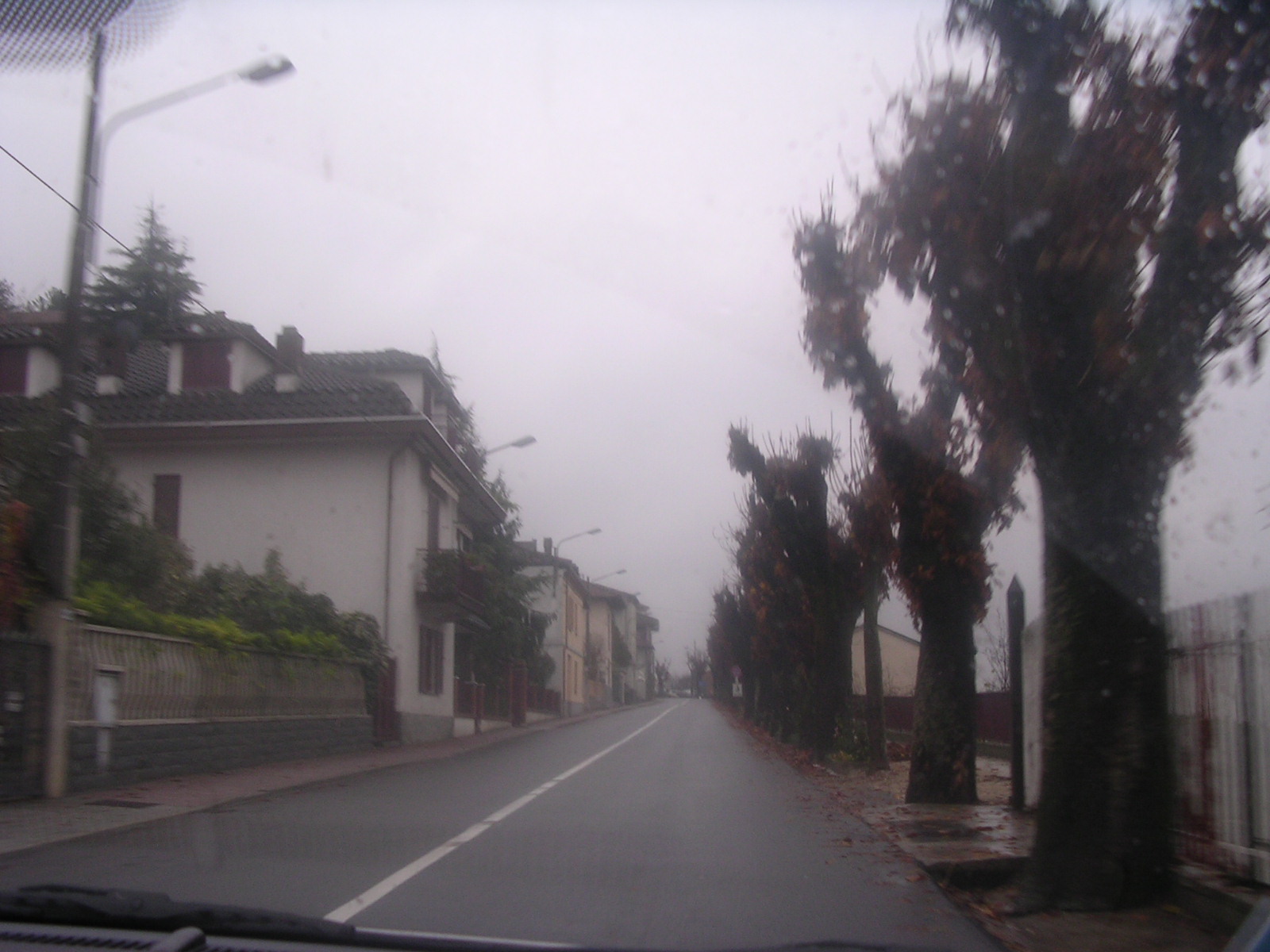 dscn1955.jpg