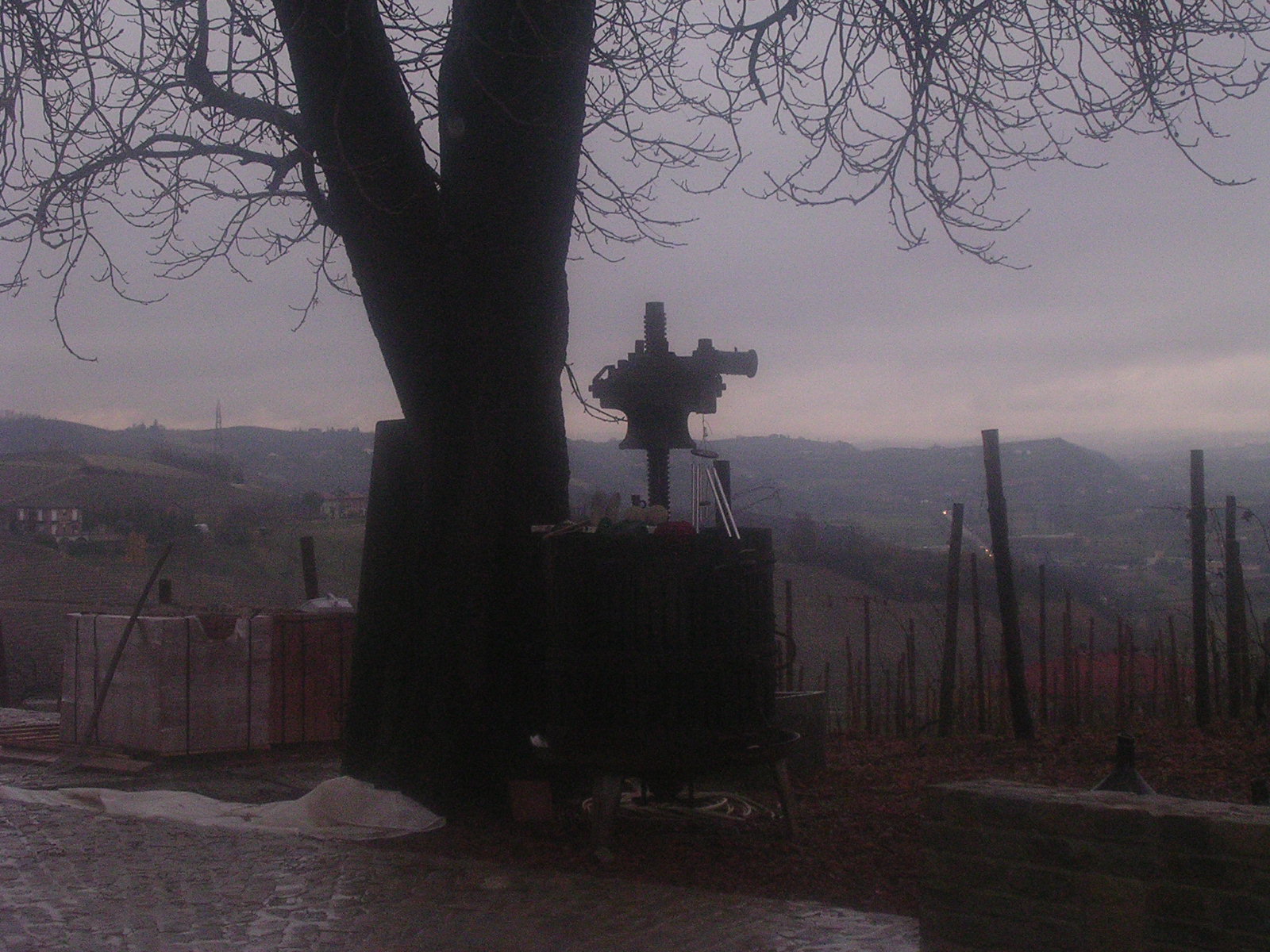 dscn1960.jpg