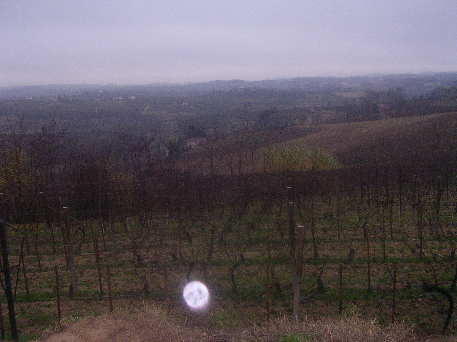 dscn1963.jpg