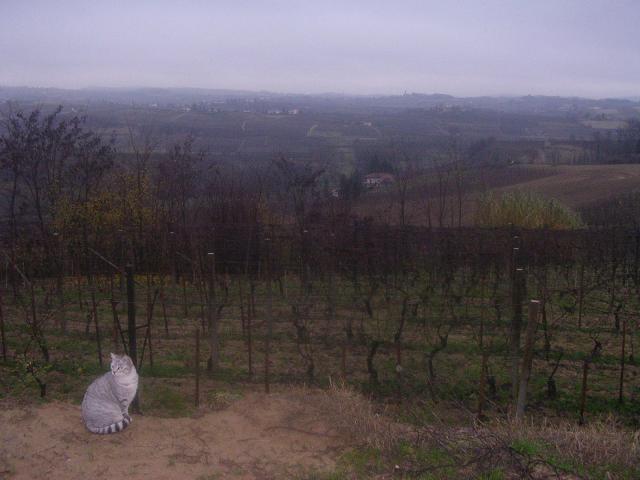 dscn1964.jpg