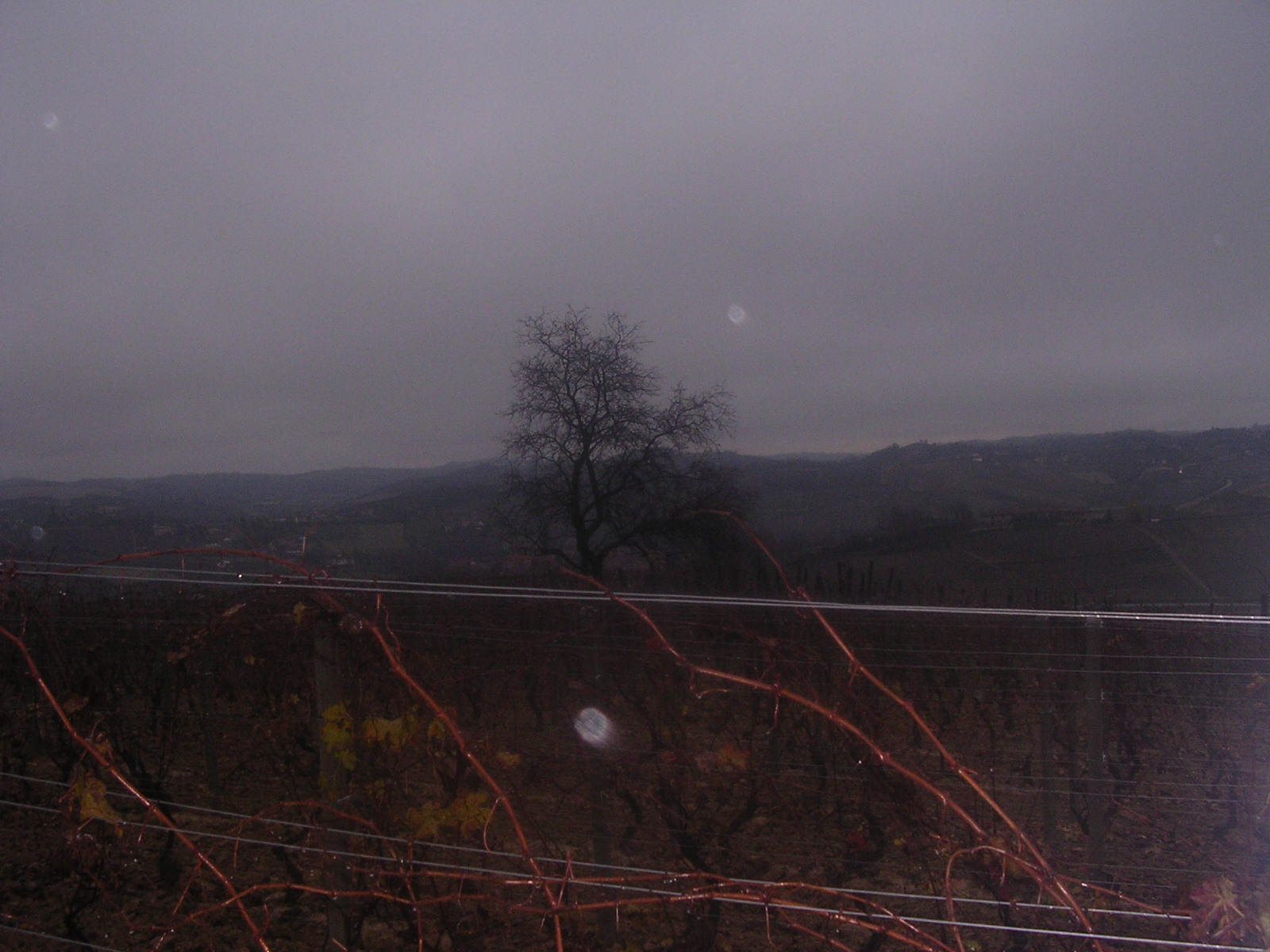 dscn1965.jpg