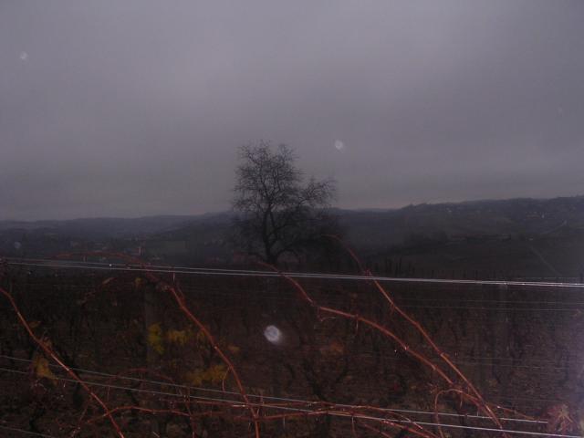 dscn1965.jpg