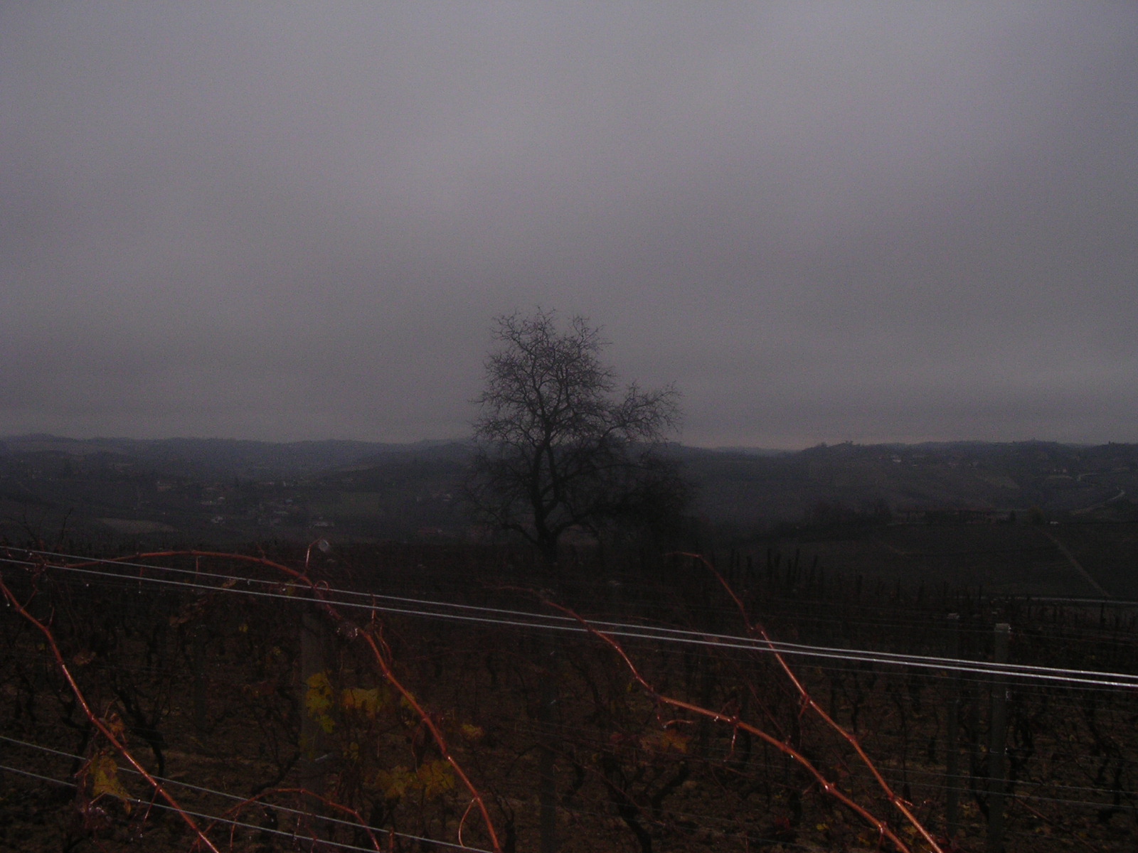 dscn1966.jpg