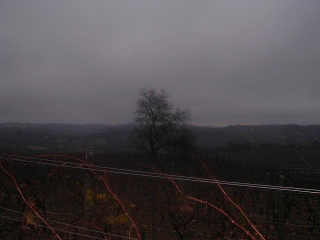 dscn1966.jpg