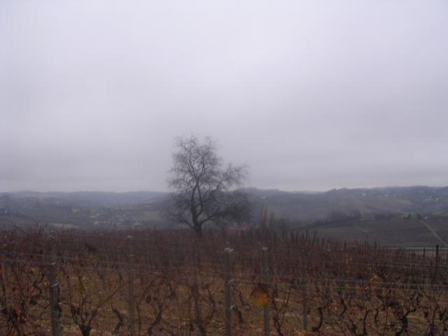dscn1968.jpg