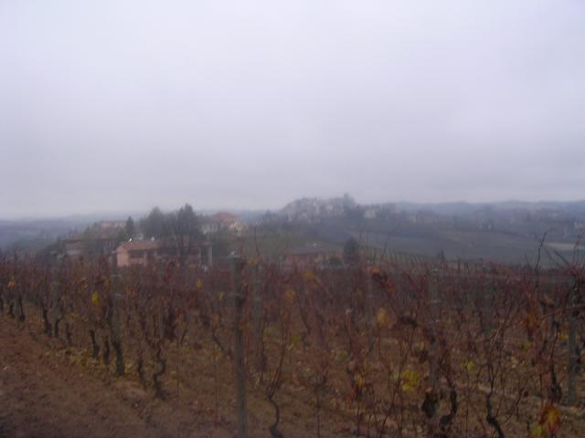 dscn1969.jpg