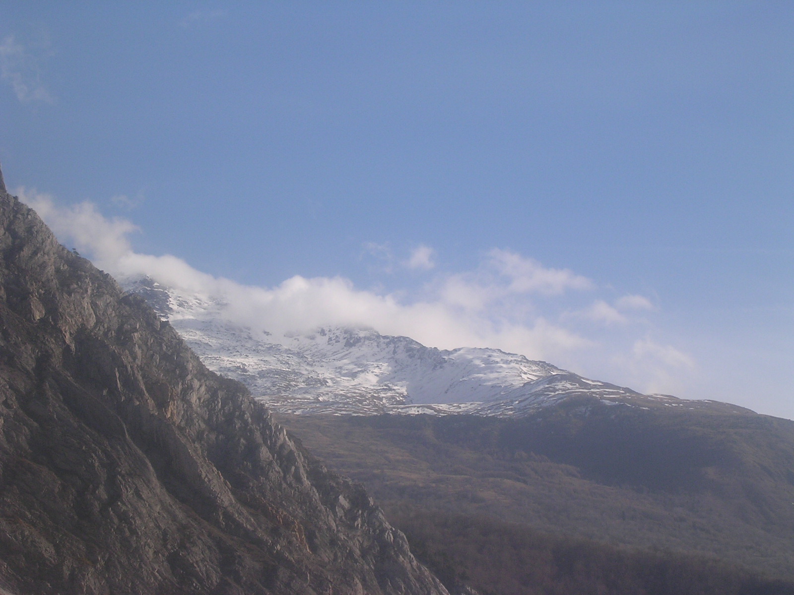 dscn1996.jpg