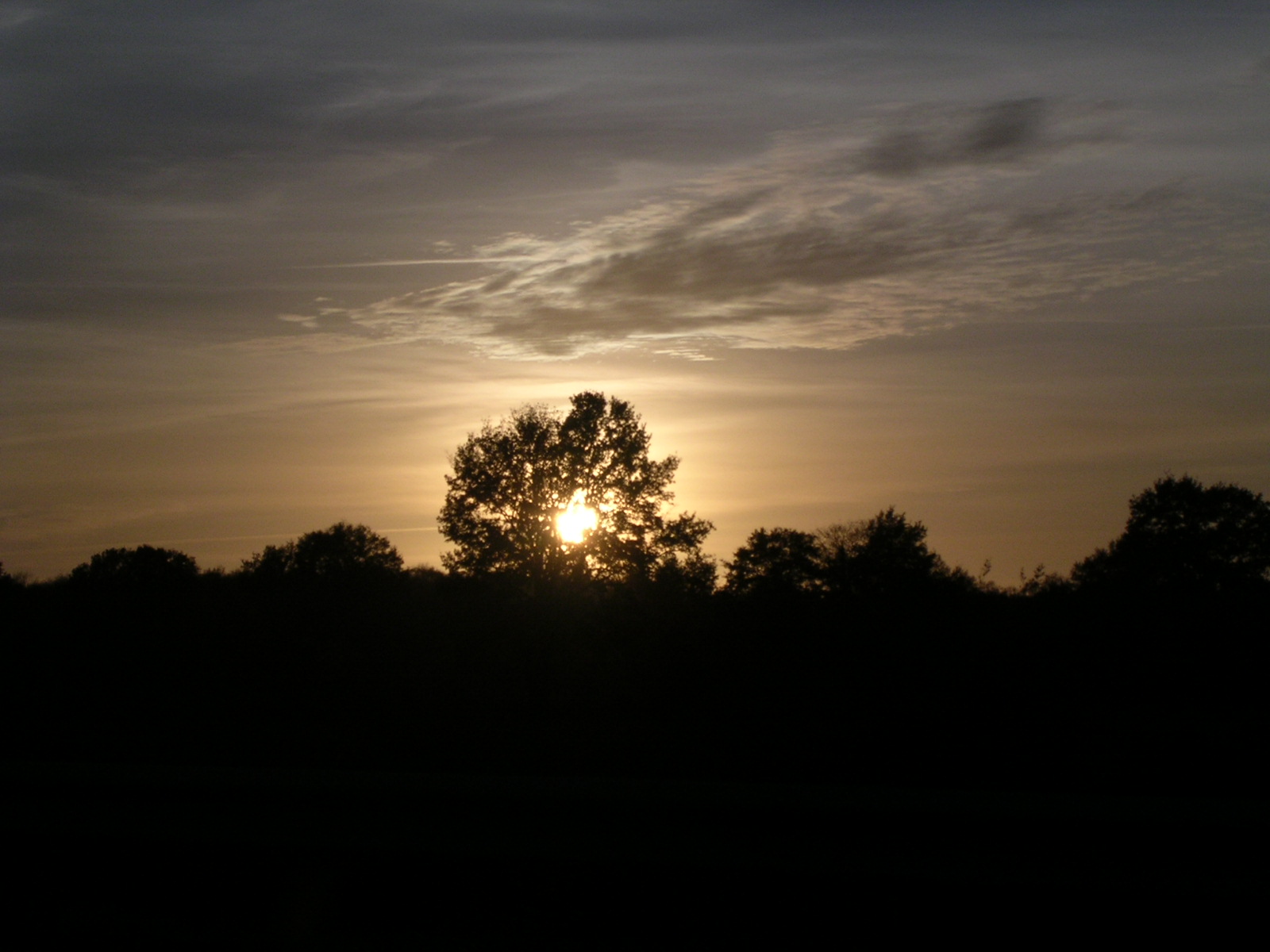 dscn0763.jpg