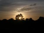 dscn0763.jpg