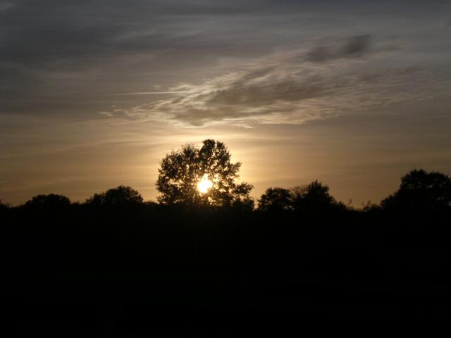dscn0763.jpg