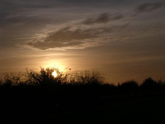 dscn0765.jpg