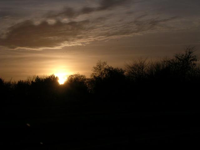 dscn0766.jpg