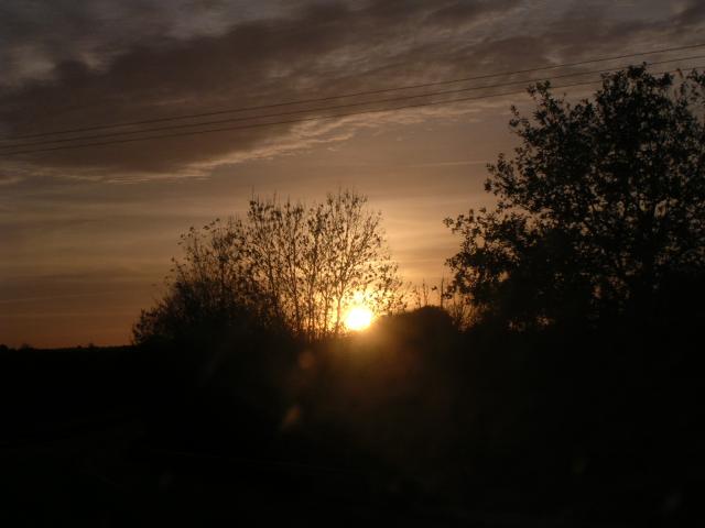 dscn0767.jpg