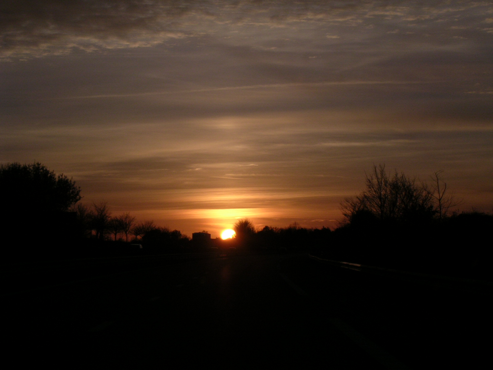 dscn0768.jpg