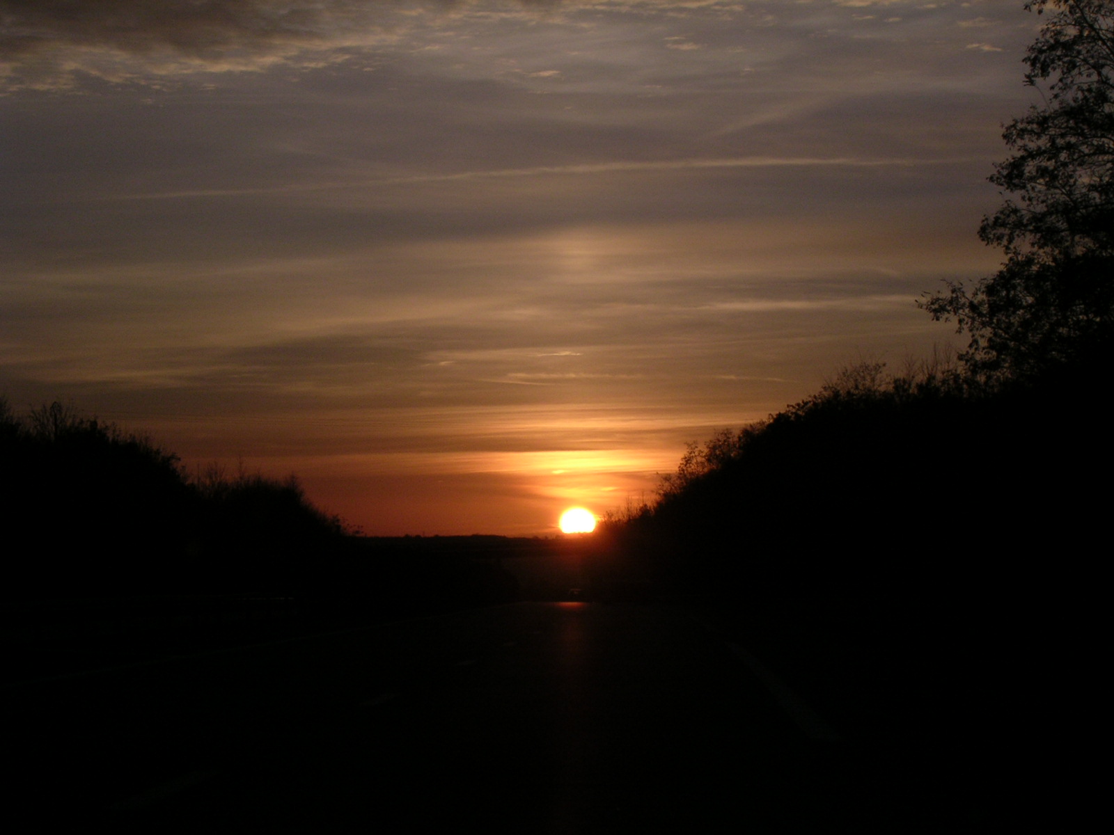 dscn0769.jpg