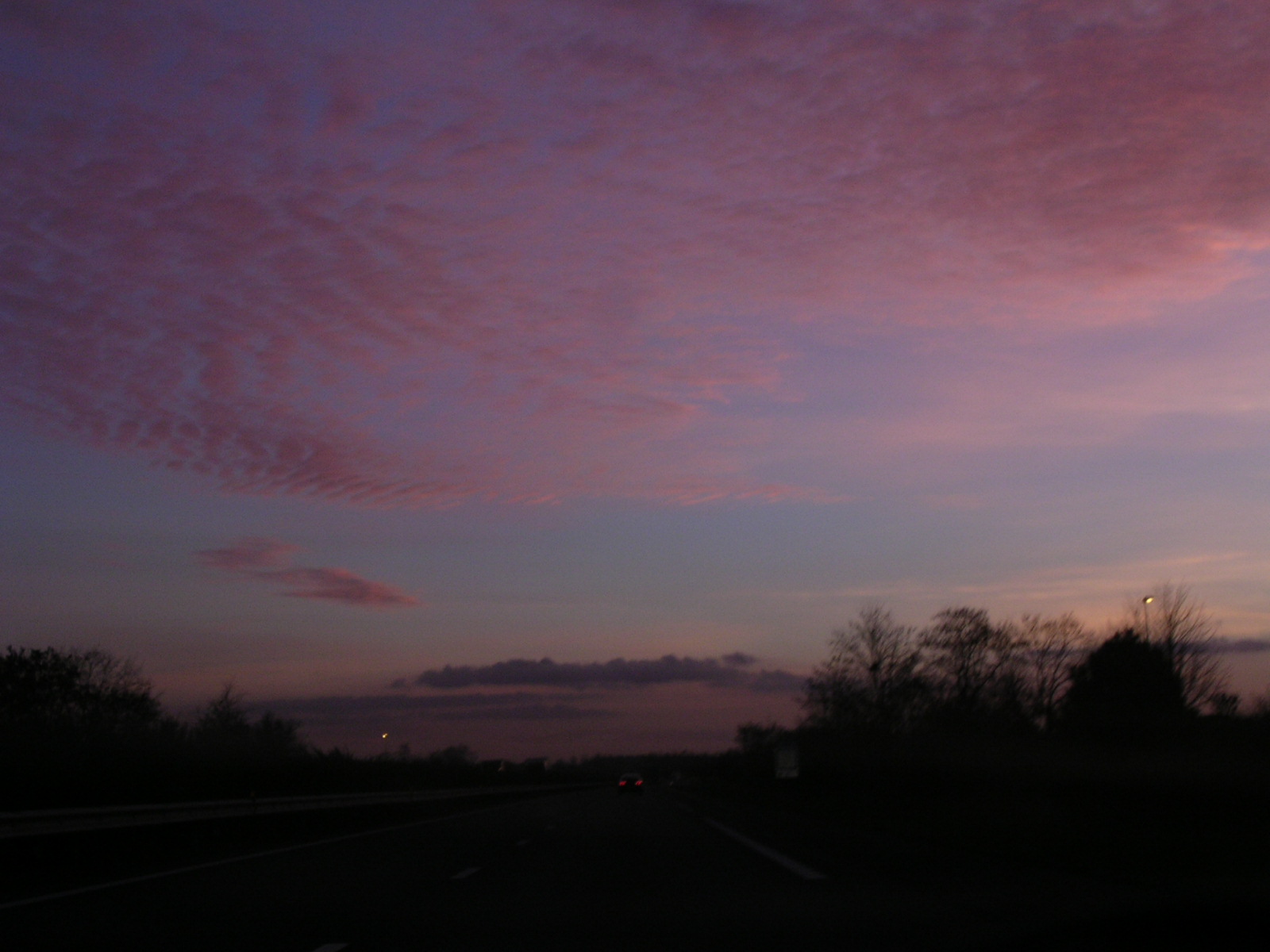 dscn0779.jpg