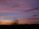 dscn0780.jpg